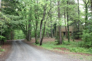 JCCampbell Morning Walk