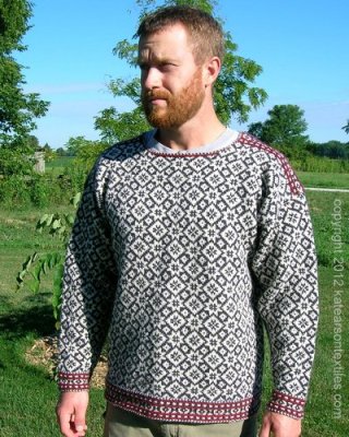 My husband, Olaf, looking very northern European in my handknit Troi. I used Elemental Affects fingering weight yarn. 