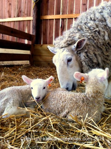 Jane has done well in her first few weeks of motherhood.