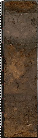 ISRIC_monolith_NL-029