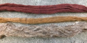 Larson_Kate_RR_image_27_1